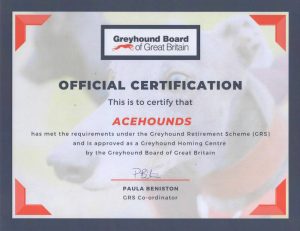 Acehounds Greyhound Rehoming Approved Certificate